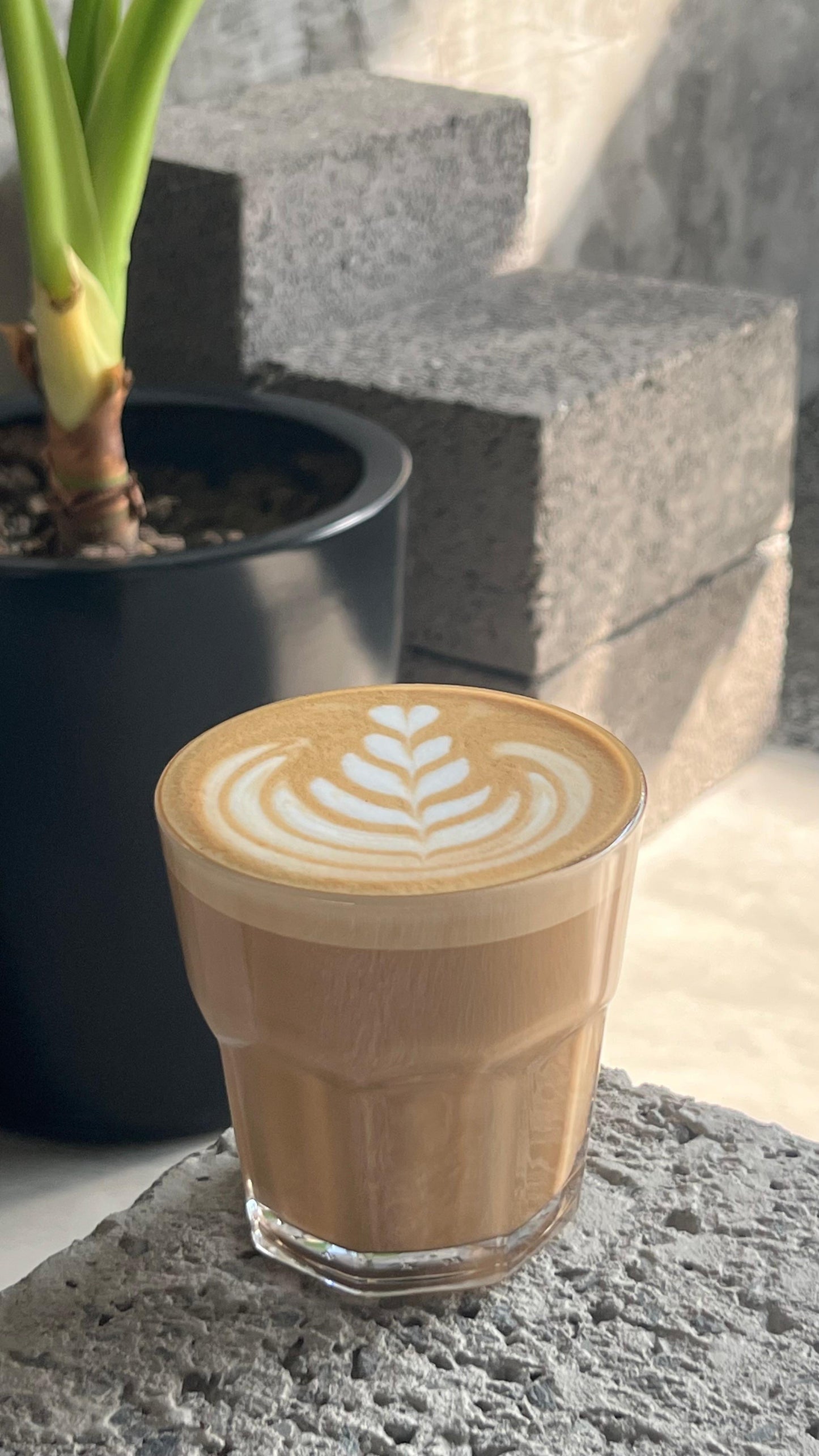 HAZELNUT LATTE