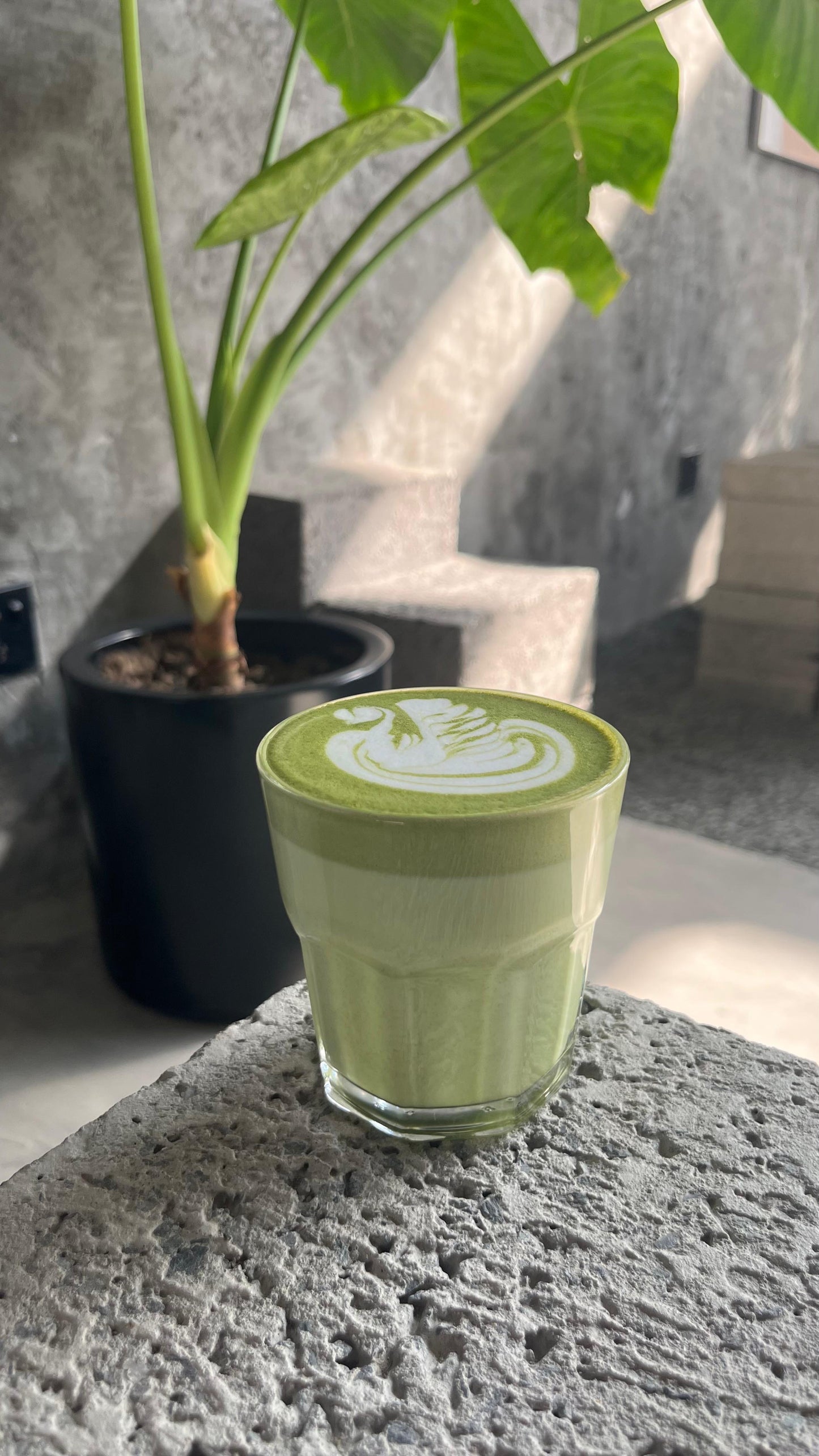 HOT MATCHA